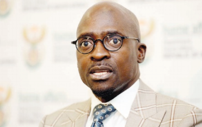 are the guptas south african citizens home affairs malusi gigaba
