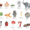 Thomas and Skhumba: Lucky charms in different cultures