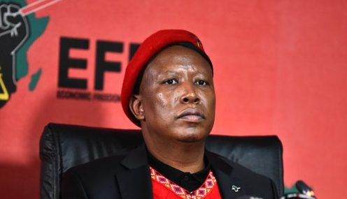 Malema calls for accountability from non-performing leaders in the EFF