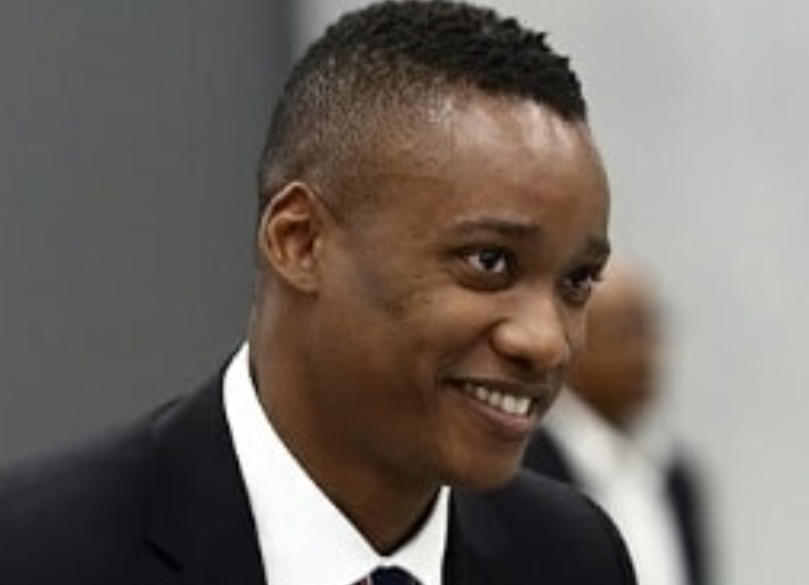 Duduzane Zuma's vernac