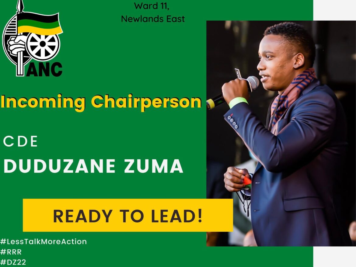 Duduzane Zuma challenges