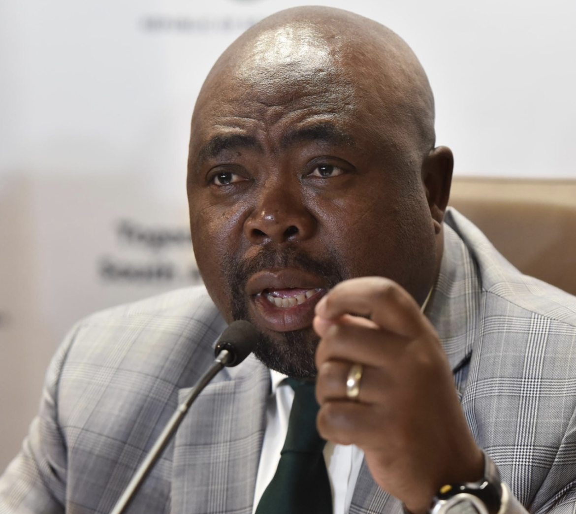 Employment and Labour Minister Thulas Nxesi