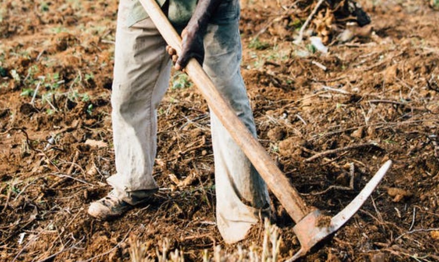 Farmer holding a pickaxe