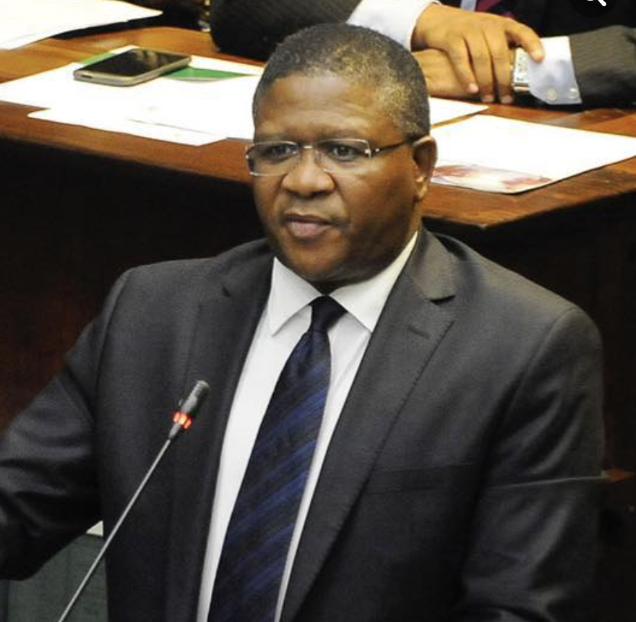 Fikile Mbalula Minister of Transport