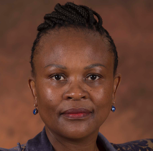 Public Protector