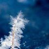 Brace for icy weather as temperatures drop to 2°C in Gauteng this long weekend