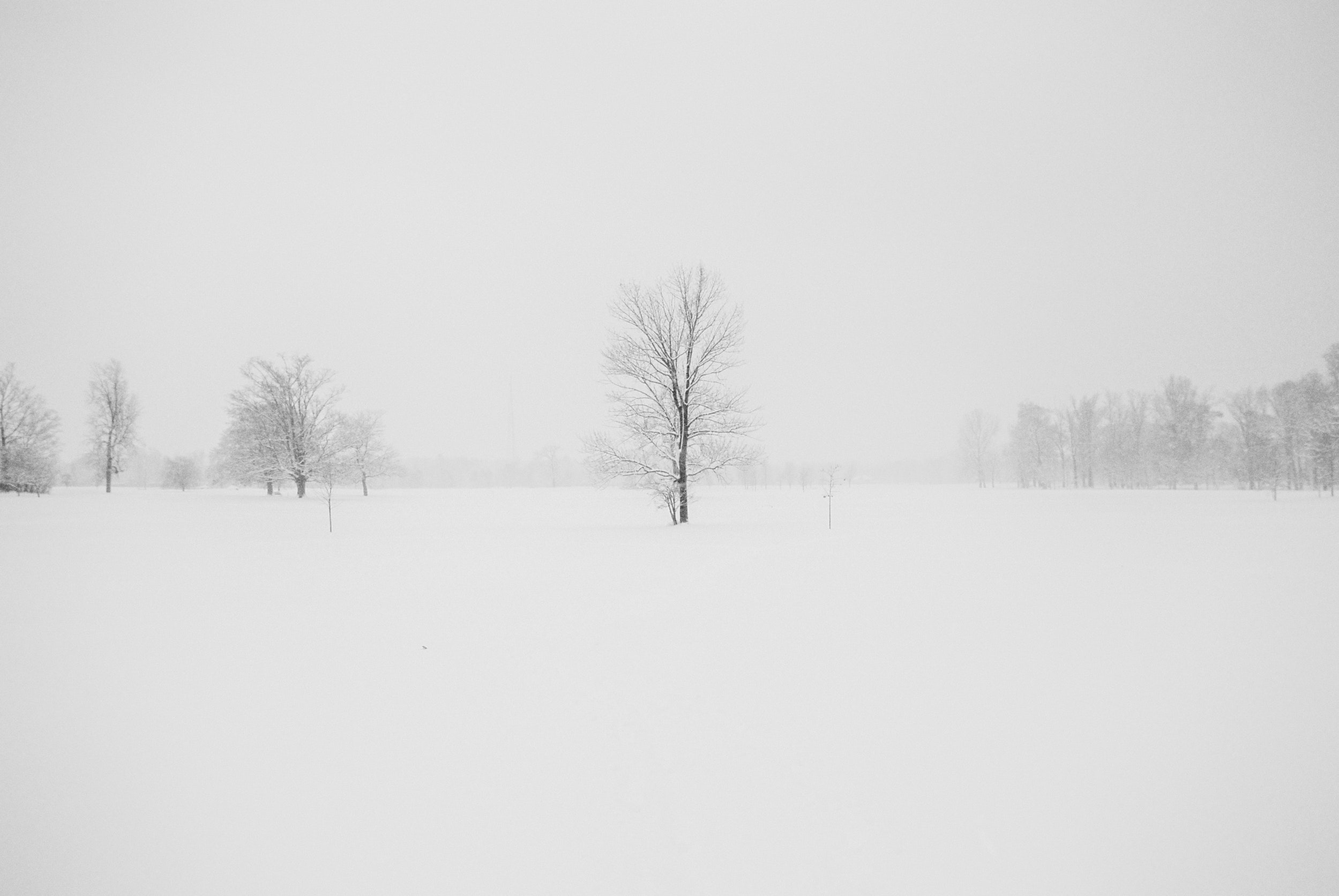 it-s-going-to-be-a-white-winter-with-more-snow-expected-kaya-959