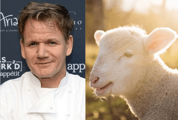 Gordon Ramsay