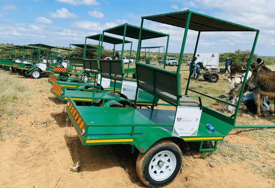 20 donkey carts for R780 000