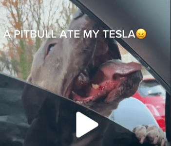 Tesla apart