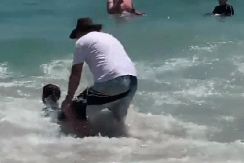 A baby seal assaults beachgoers in Cape Town