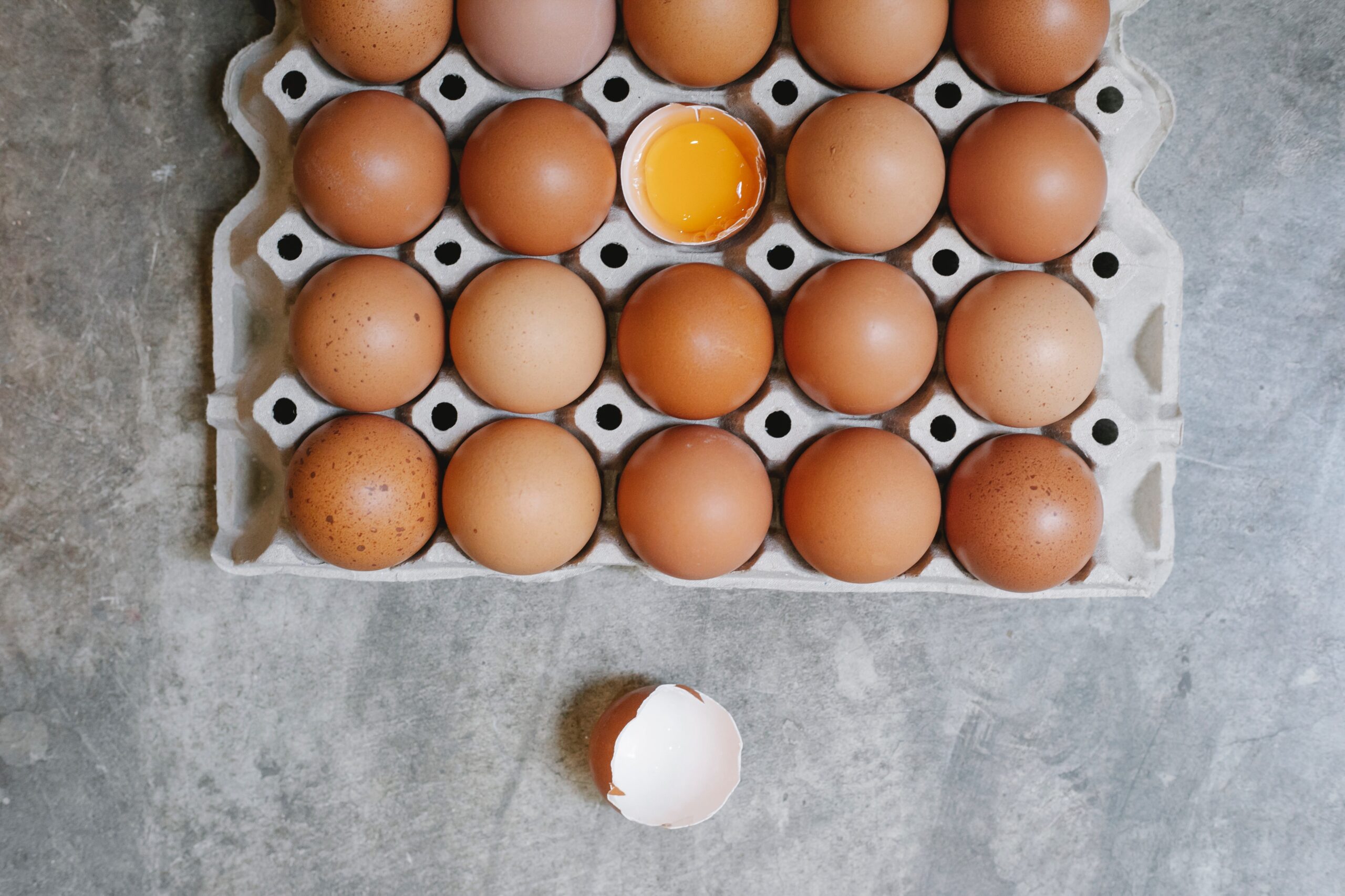 Egg shortage in SA due to "deadliest bird flu outbreak"