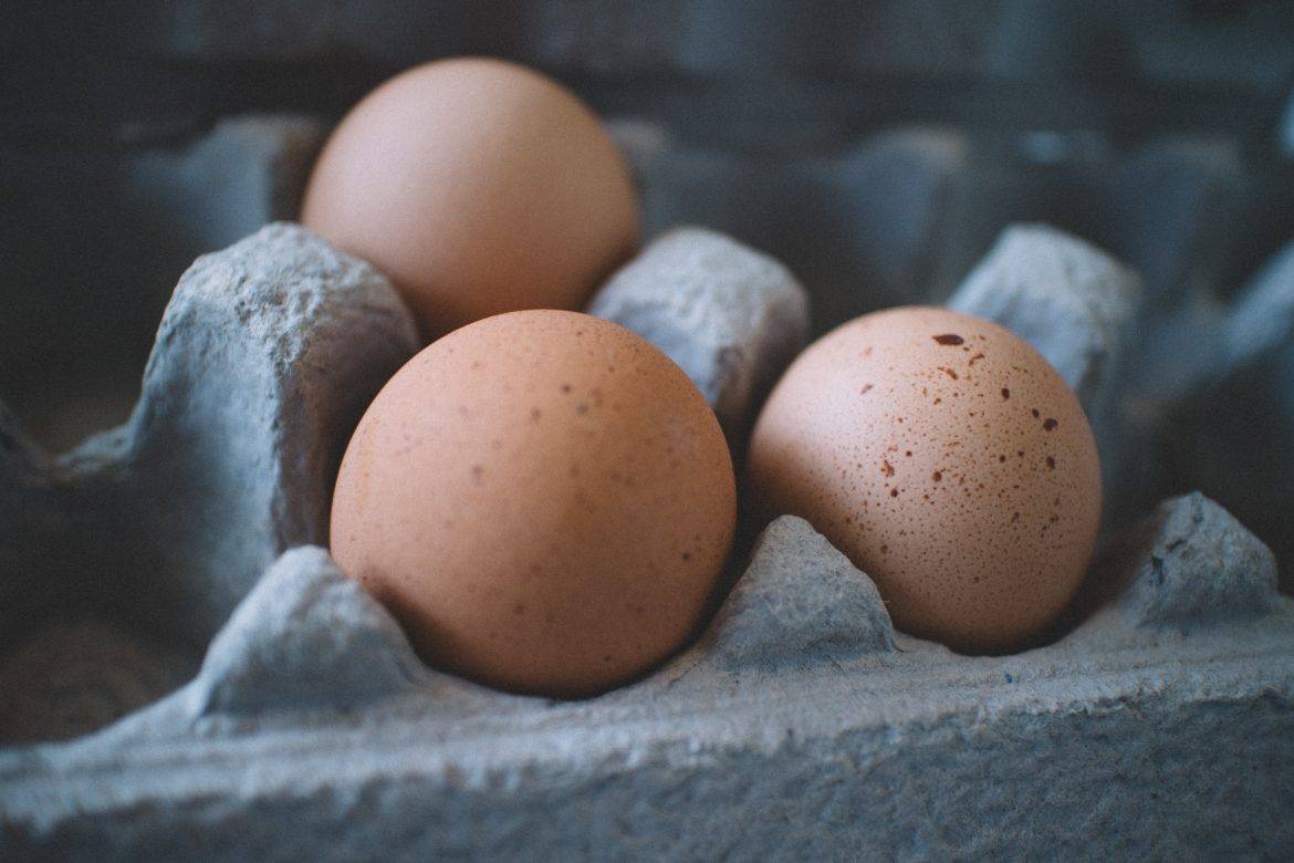 import eggs and chicken