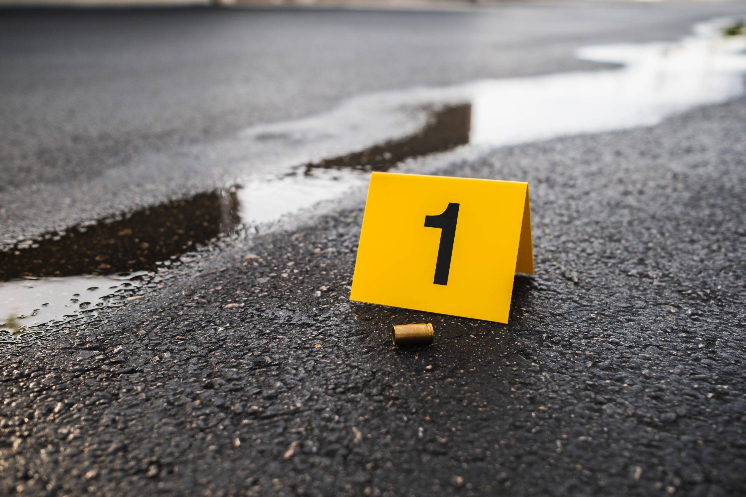 Gauteng police probe possible serial killer on the loose in Pretoria