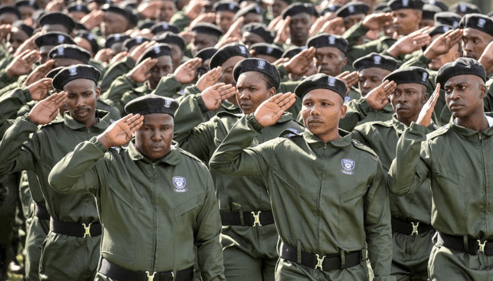 ‘Amapanyaza’ now classified as peace officers