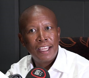 Julius Malema's Point of View