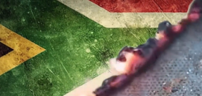 WATCH: SA flag burns in DA TV election advert