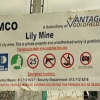 DMRE approves reopening of Lily and Barbrook mines