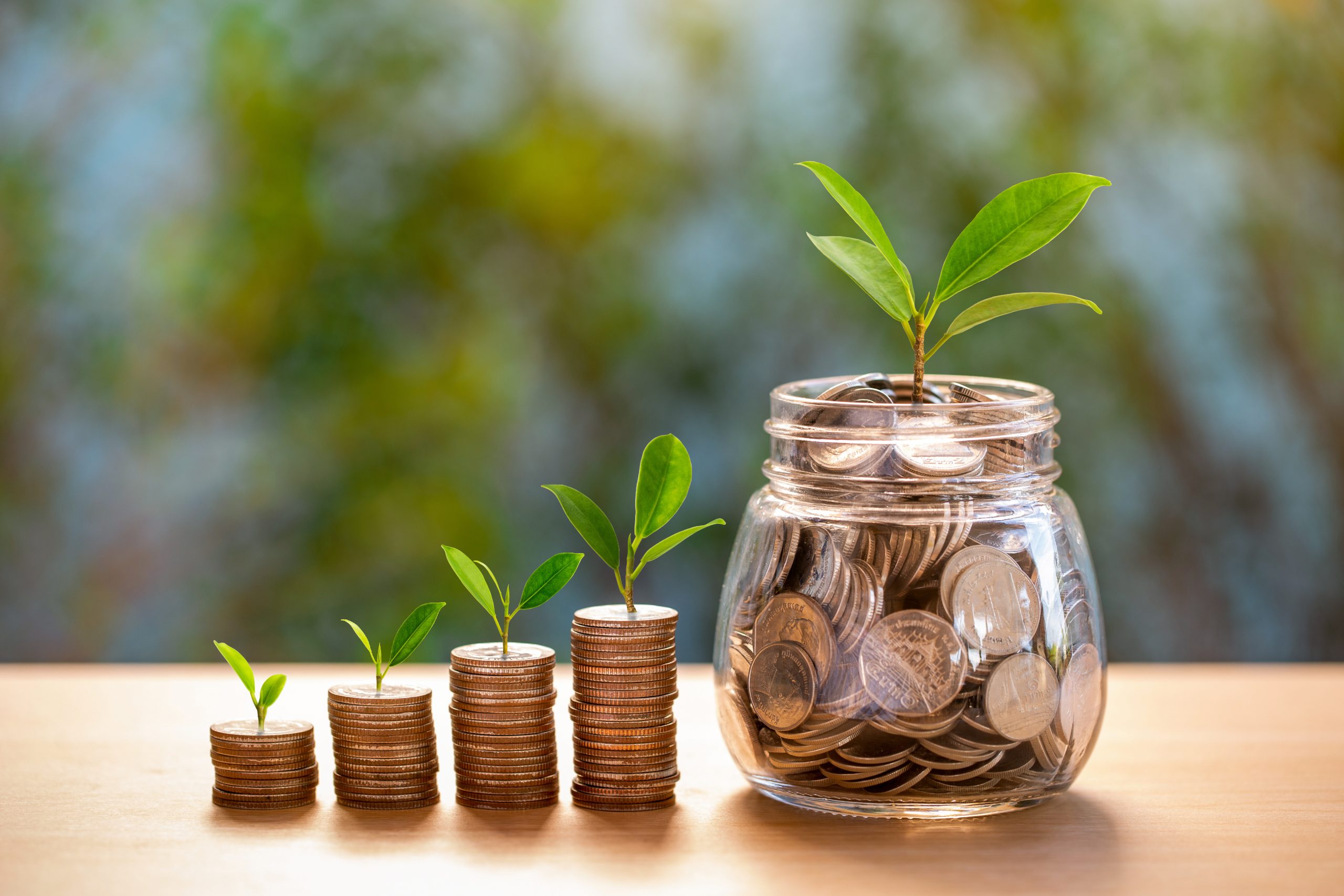 Did you know South African youth are financially savvy?