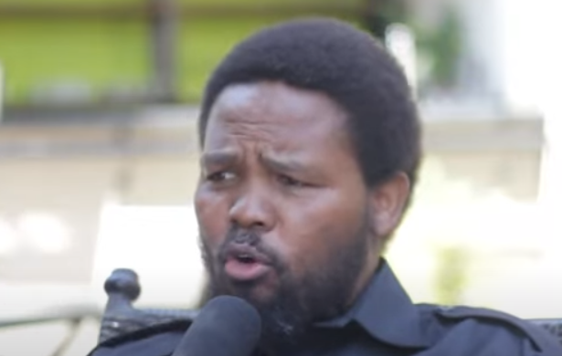 Andile Mngxitama