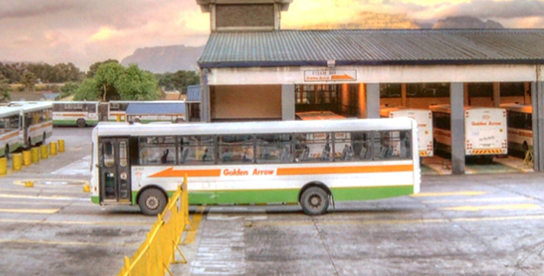 Golden Arrows bus driver