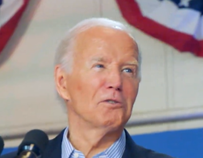Professor of Politics weighs in on Biden's decision to step down