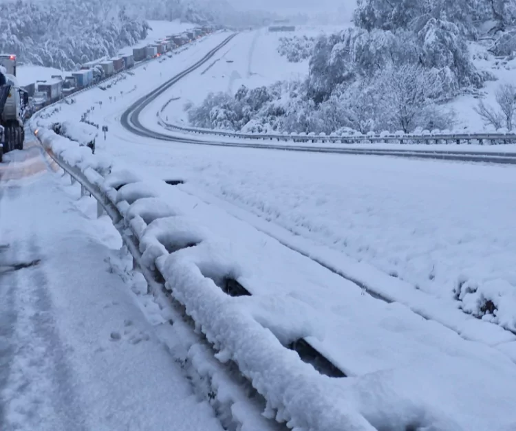 SNOW UPDATE