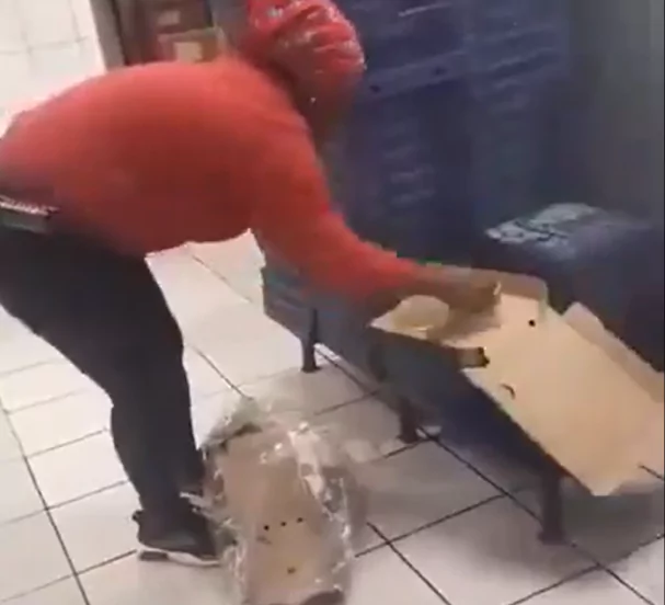 reusing pizza boxes