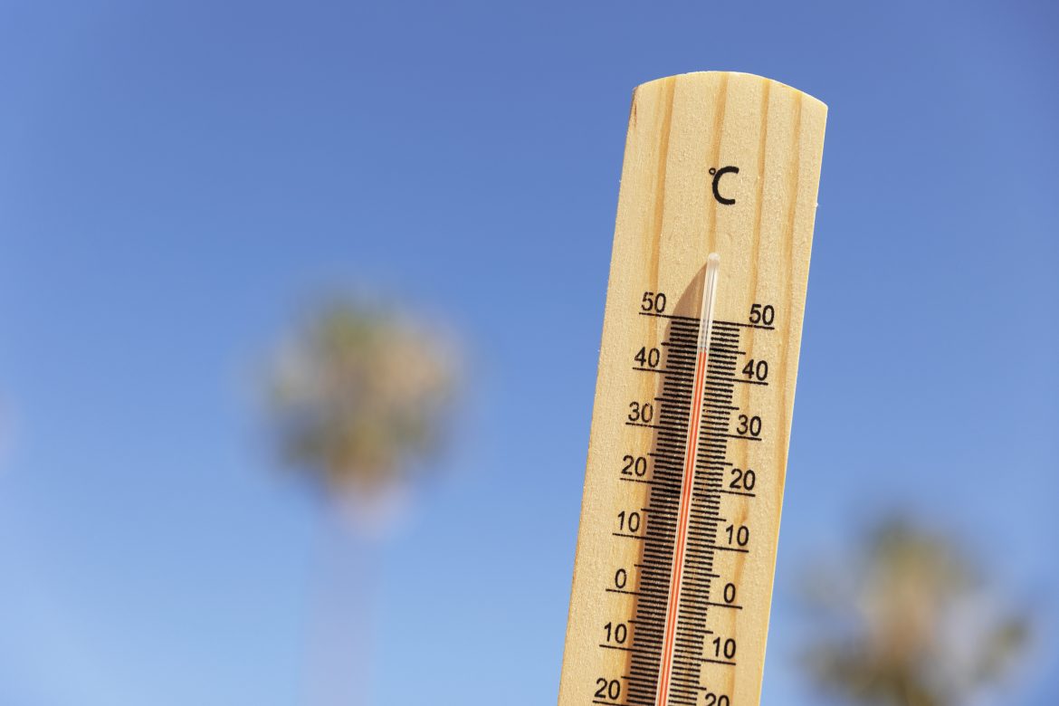Heatwave warning issued for parts of South Africa