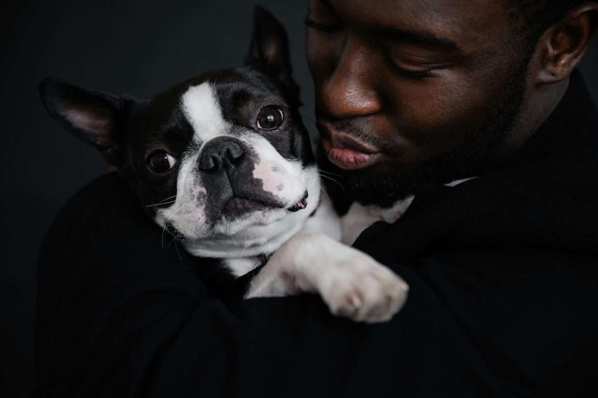 How much would you be willing to spend to save your pet's life?