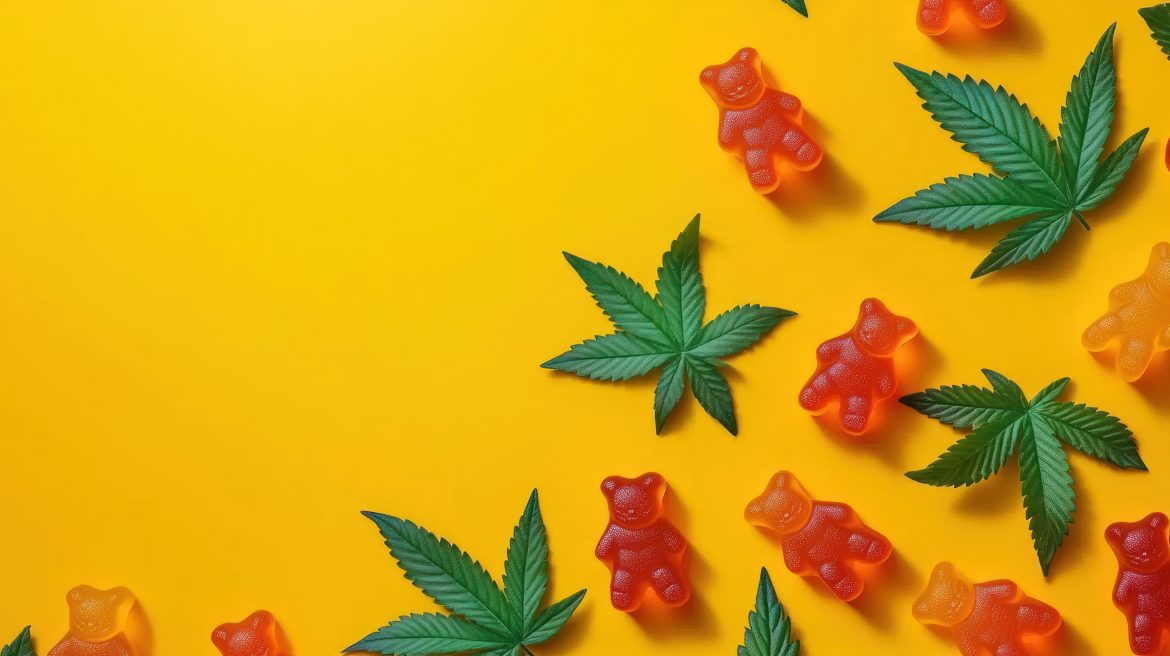 Department of Health bans cannabis edibles in South Africa