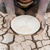 57 children reported dead from malnutrition, says WHO