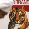 Tiger Brands offers settlement in listeriosis case