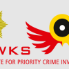 Hawks raids Pretoria High Court in fraudulent document probe