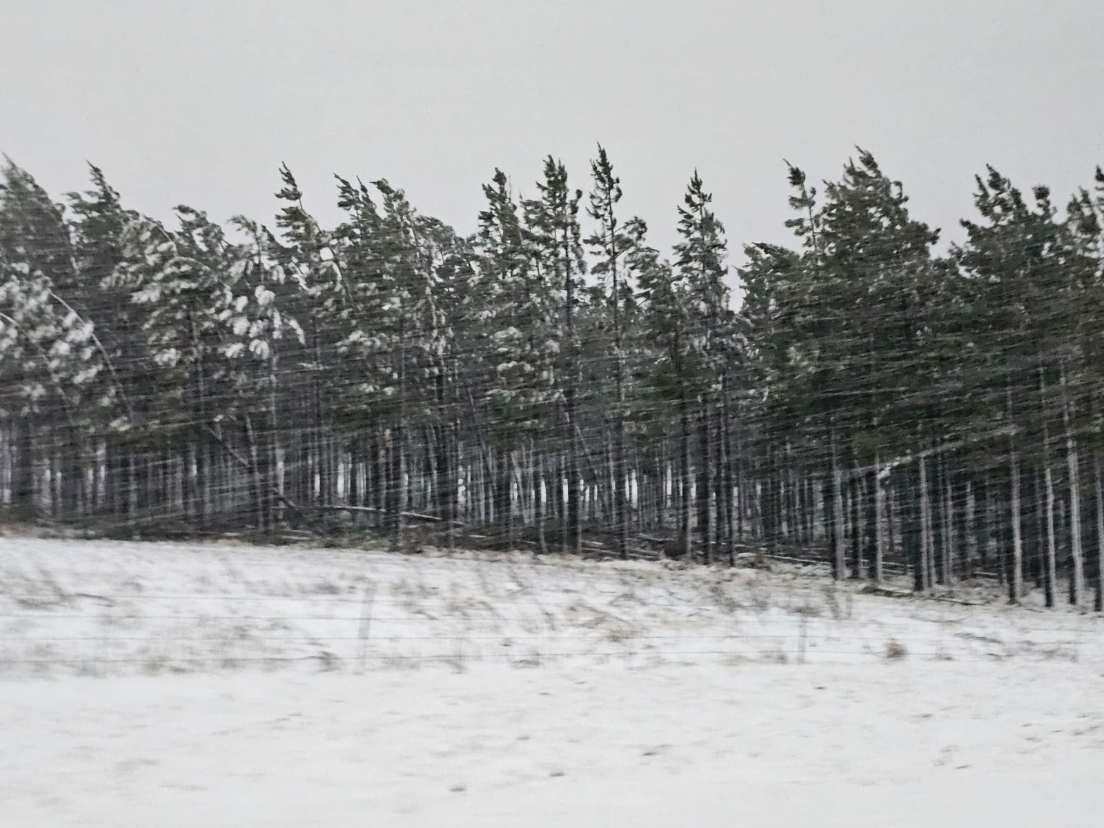 Motorists urged to avoid N2 as snowfall hits southern KZN