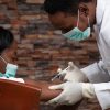 New COVID-19 variant NB.1.8.1 sparks global health alerts
