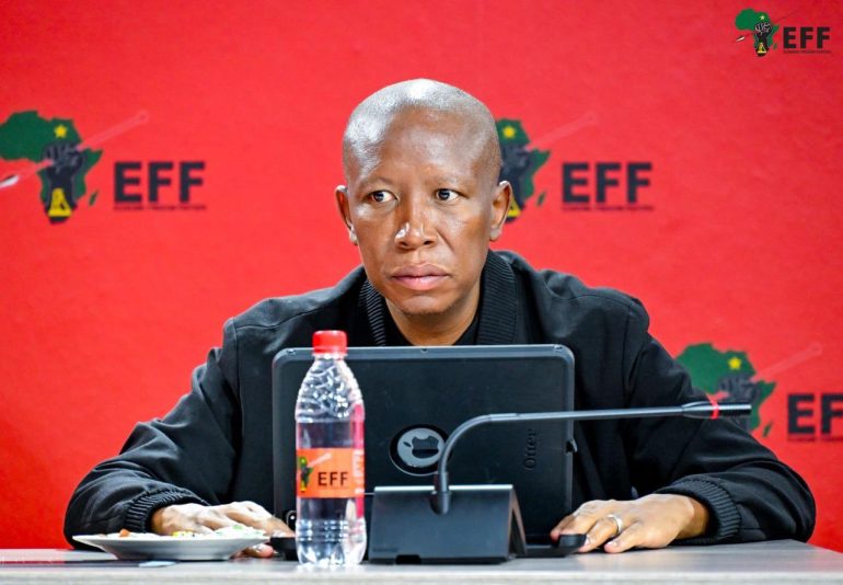 Malema says fuel levy hike is a major blow to South Africans