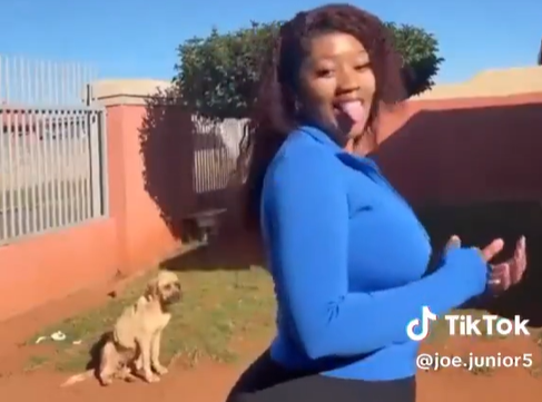 NSPCA rescues 'Bobby' the starving dog from viral TikTok