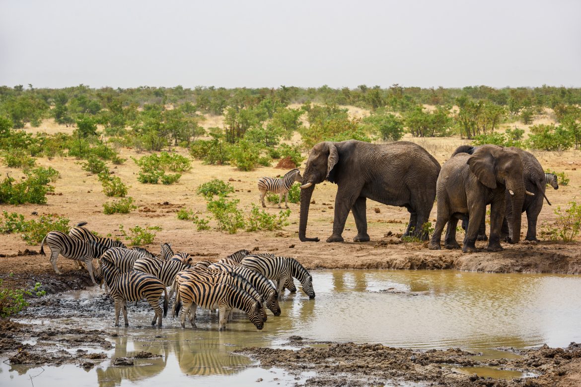 South African National Parks offers free access in September