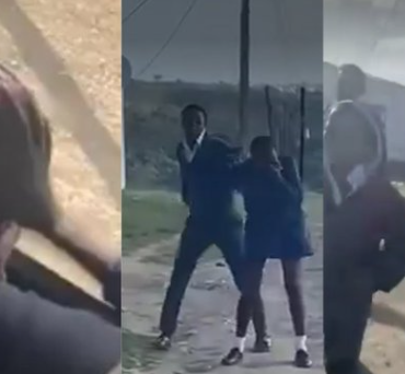 Eastern Cape education department suspends learners over viral bullying video