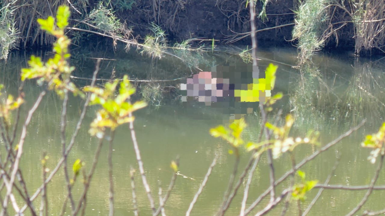 Three Zimbabwean nationals found dead in Nkomazi River, Mpumalanga