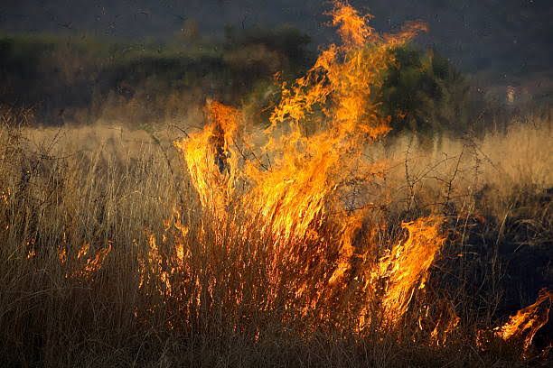 City of Tshwane on high alert as veld fires threaten lives and property