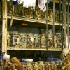Honouring the healers: Traditional medicine given official role in SA’s health future