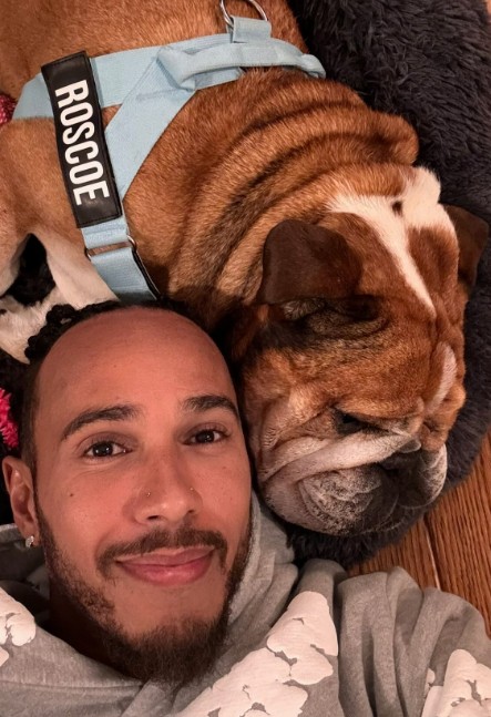 Lewis Hamilton mourns loss of beloved dog Roscoe