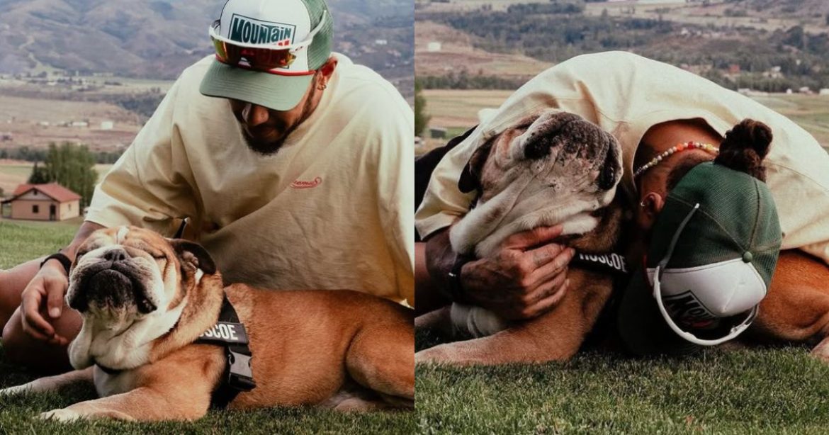 Lewis Hamilton mourns loss of beloved dog Roscoe