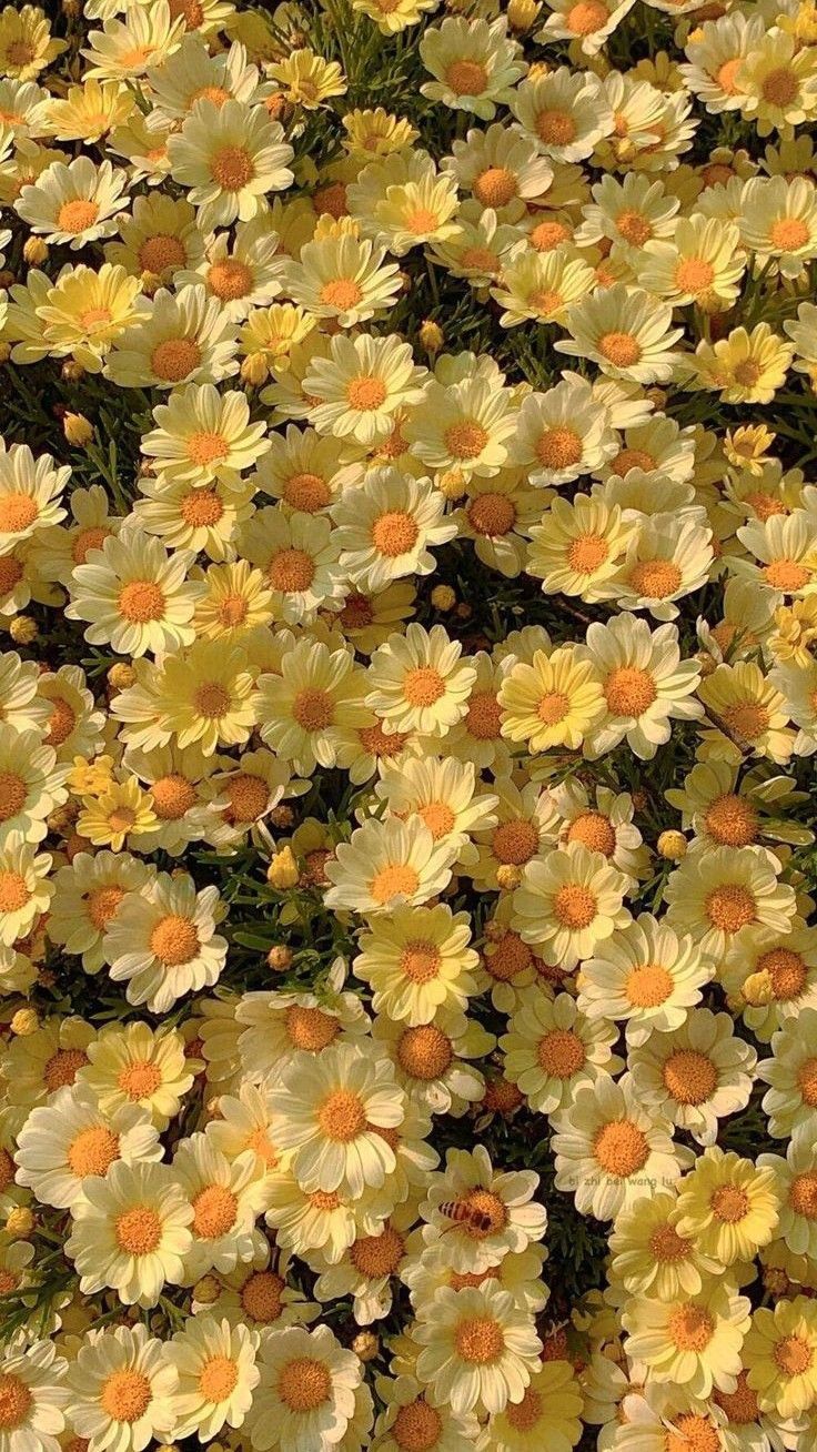 Butter yellow: the sunshine shade defining Spring/Summer 2025