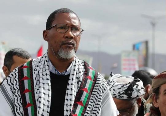 South African activists detained in Israel ‘safe’ as DIRCO works on return plans
