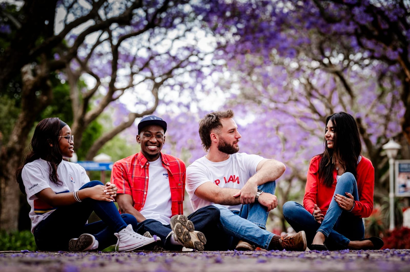 Is it too late to save the semester? Jacarandas paint Tshwane’s streets in purple