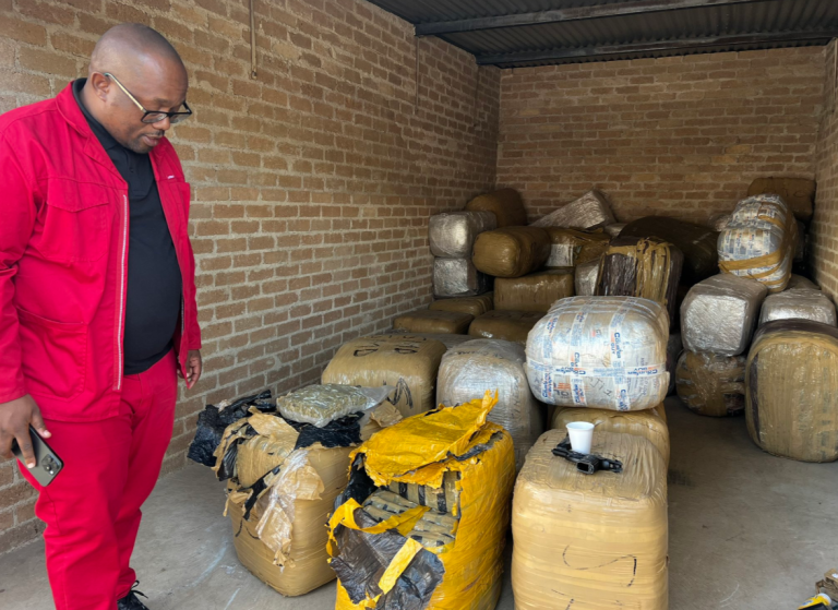 Joburg MMC leads massive R21 million dagga bust in Sandton
