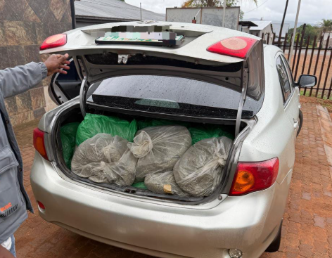 Man nabbed with dagga worth R600,000 in Mpumalanga